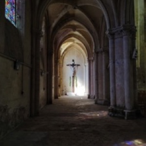 Couleurs estivales à Chartres 🎨.#chartres #france